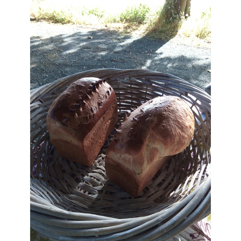 Pain au lait
